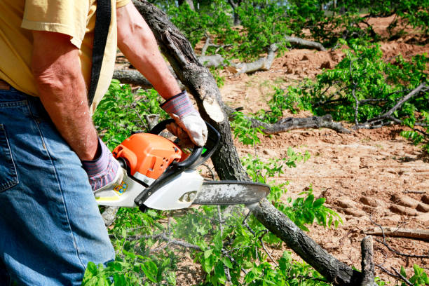 Best Weed Control  in Harlowton, MT